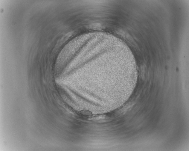 X0000070411201200607072300