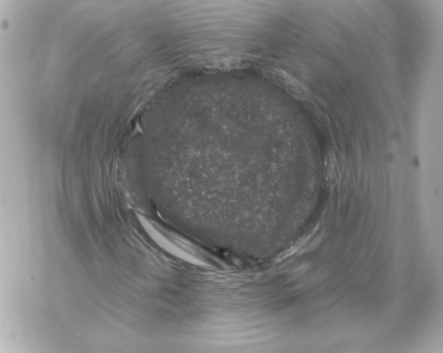 X0000070411202200607072300