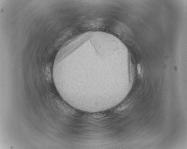 X0000070411203200607072300