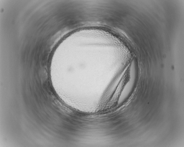 X0000070411212200607072300