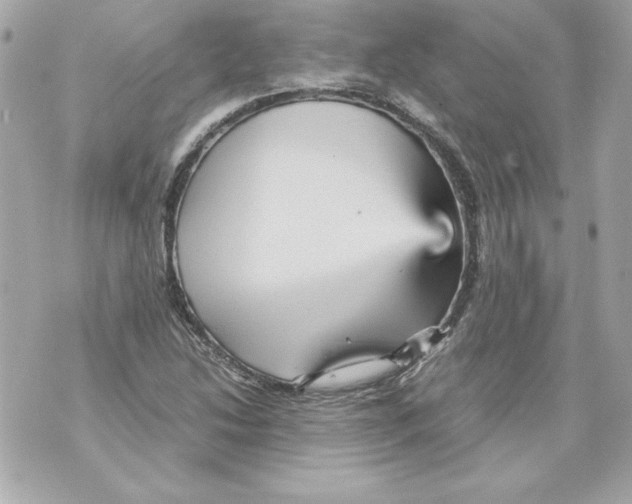 X0000070411214200607072300