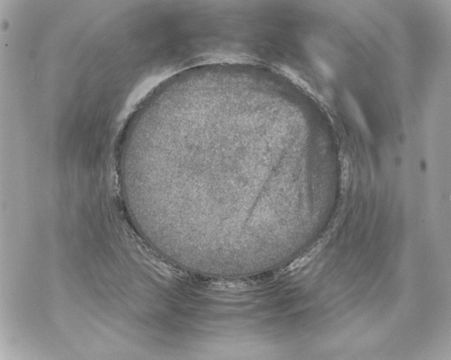 X0000070411215200607072301