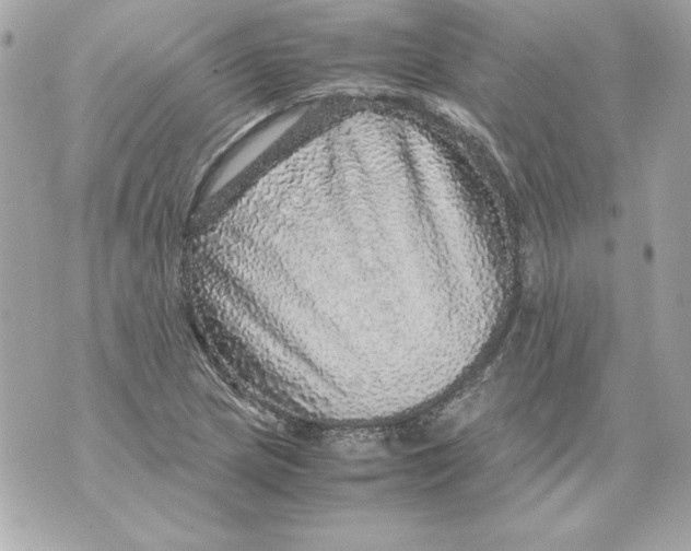 X0000070411217200607072301