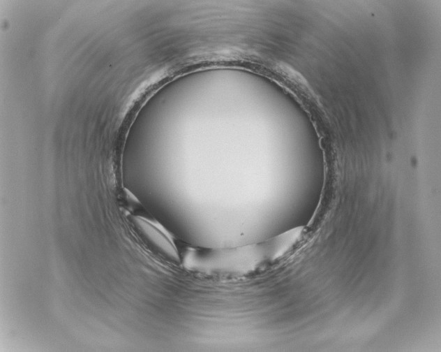 X0000070411218200607072301