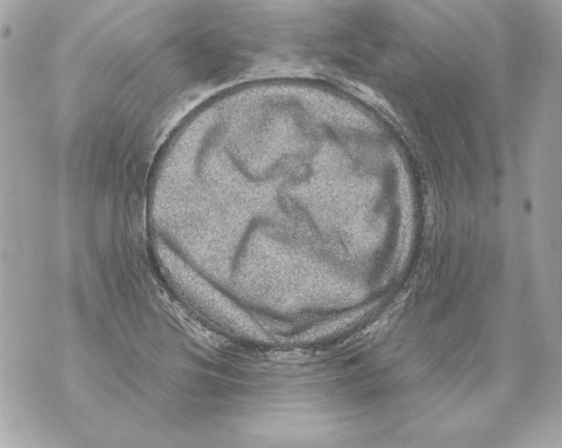 X0000070411220200607072301