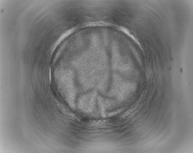 X0000070411221200607072301