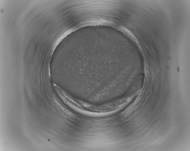 X0000070411226200607072301