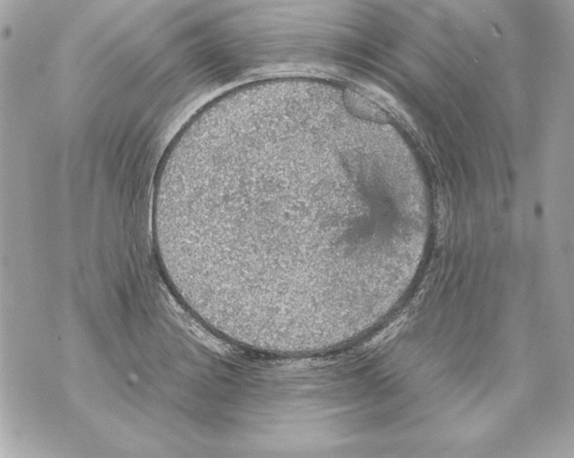 X0000070411228200607072301