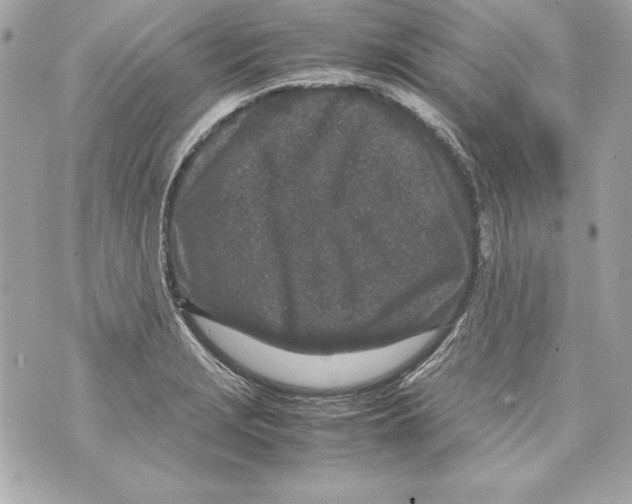 X0000070411229200607072301