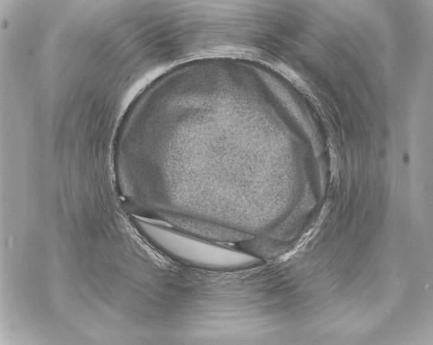 X0000070411230200607072301