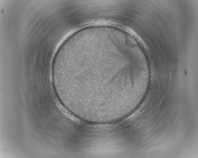 X0000070411232200607072301