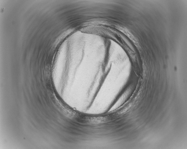 X0000070411233200607072301