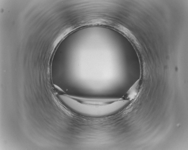 X0000070411234200607072301