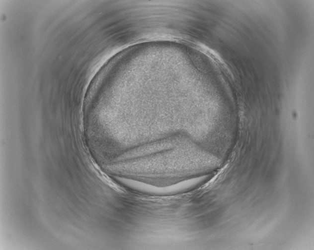 X0000070411236200607072301