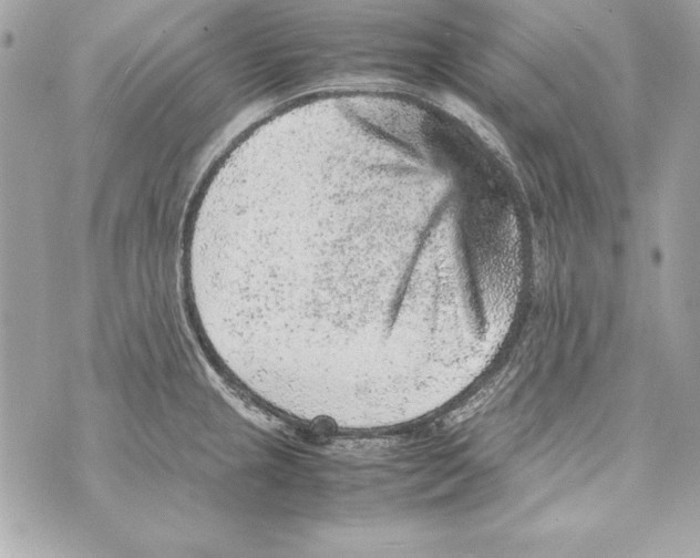 X0000070411237200607072301