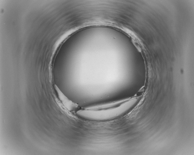 X0000070411238200607072301