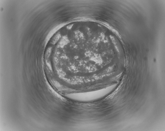 X0000070411239200607072301