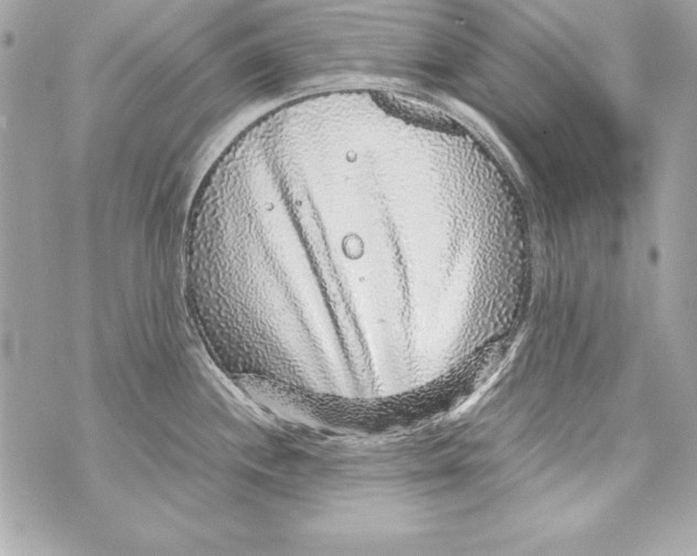 X0000070411244200607072301