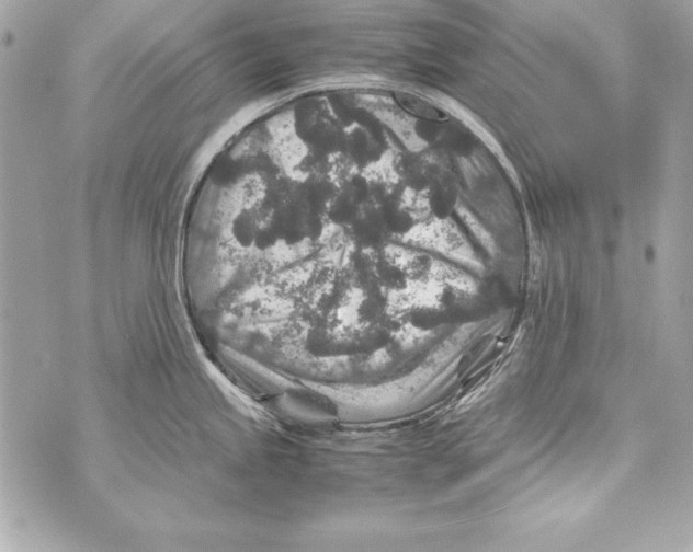 X0000070411245200607072301