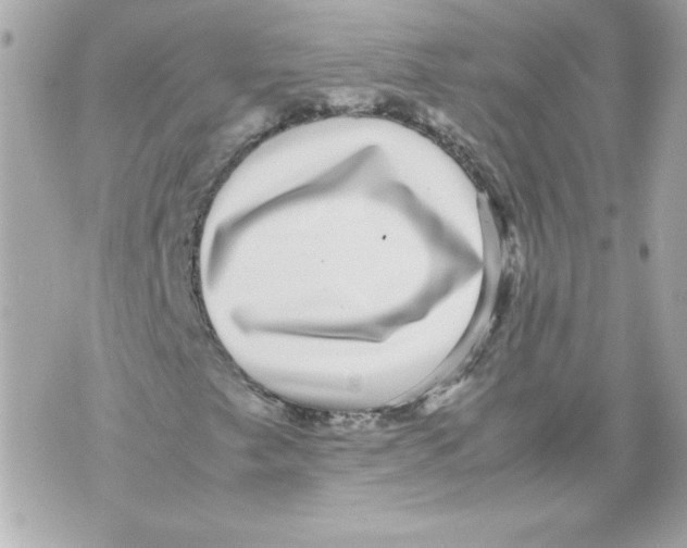 X0000070411249200607072300