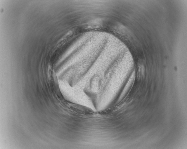 X0000070411250200607072300