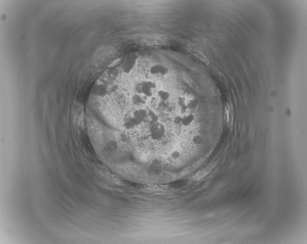 X0000070411251200607072300