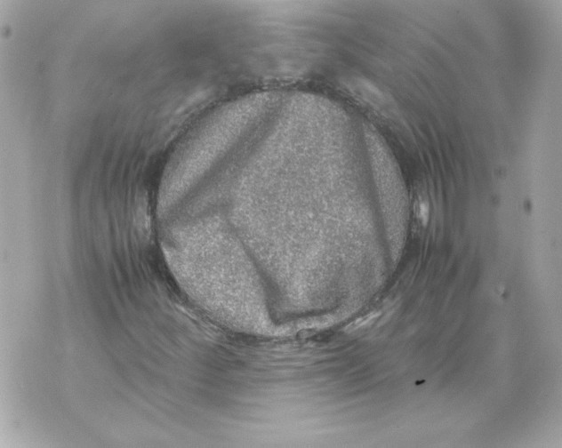 X0000070411252200607072300