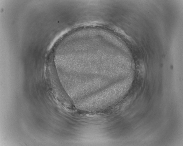 X0000070411256200607072300