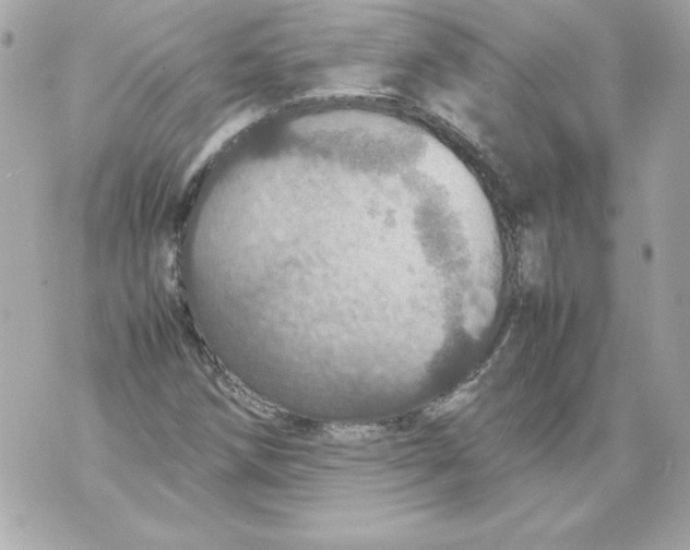 X0000070411258200607072300