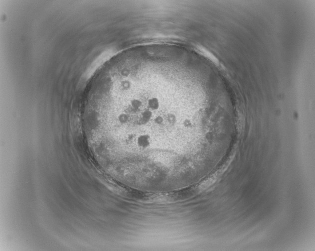 X0000070411259200607072300