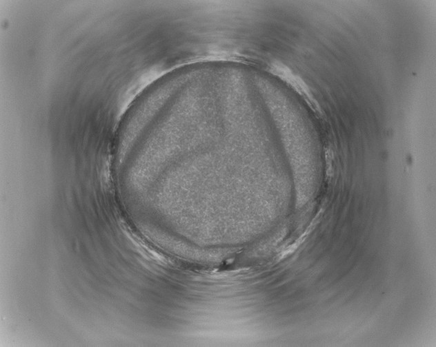 X0000070411260200607072300