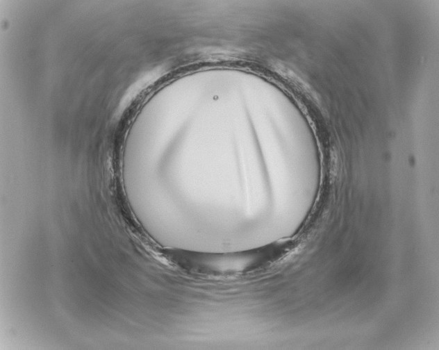 X0000070411261200607072300