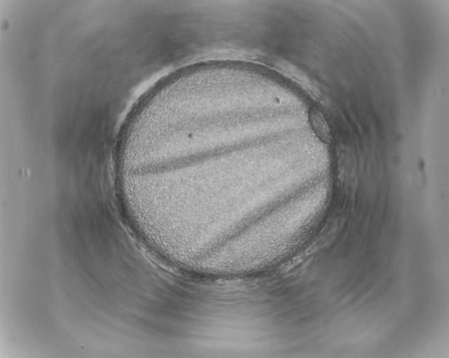 X0000070411264200607072300