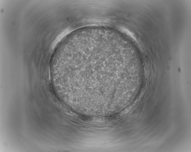 X0000070411267200607072300