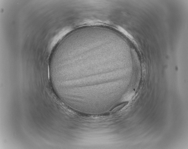 X0000070411269200607072300