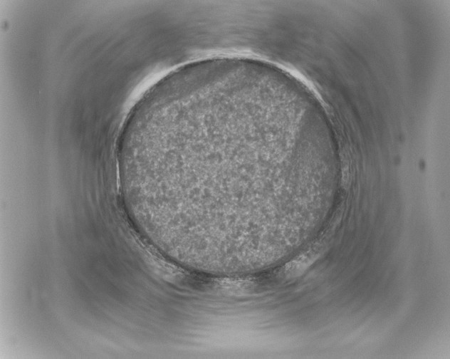 X0000070411271200607072300