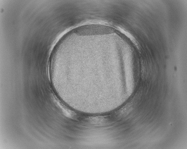 X0000070411272200607072300