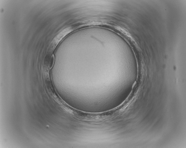 X0000070411273200607072300