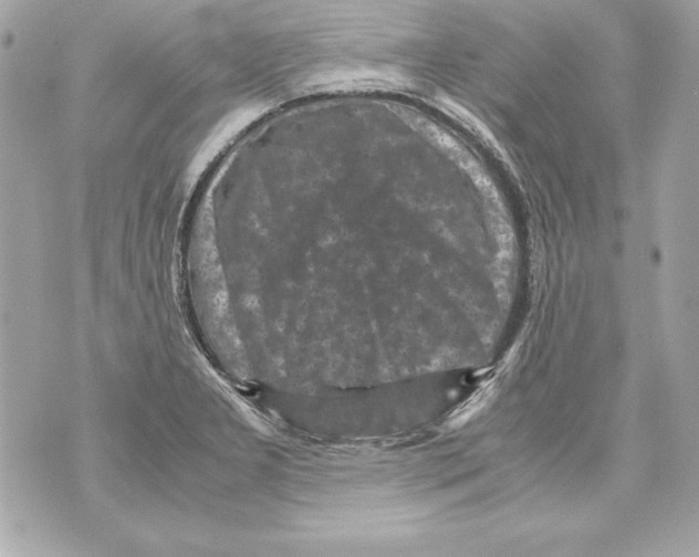 X0000070411277200607072300