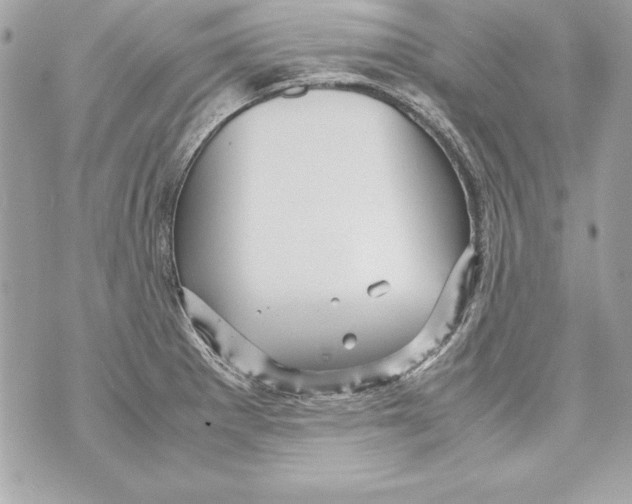 X0000070411281200607072300