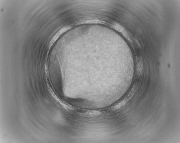 X0000070411282200607072300