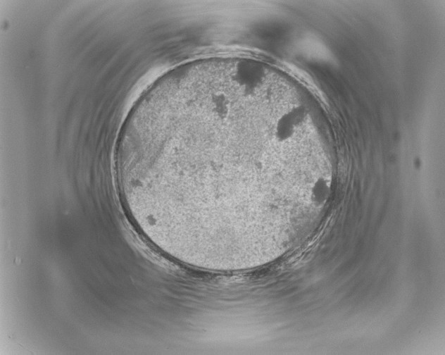 X0000070411283200607072300