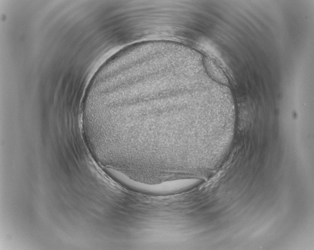 X0000070411284200607072300