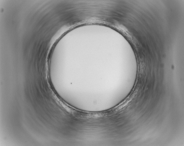 X0000070411286200607072300