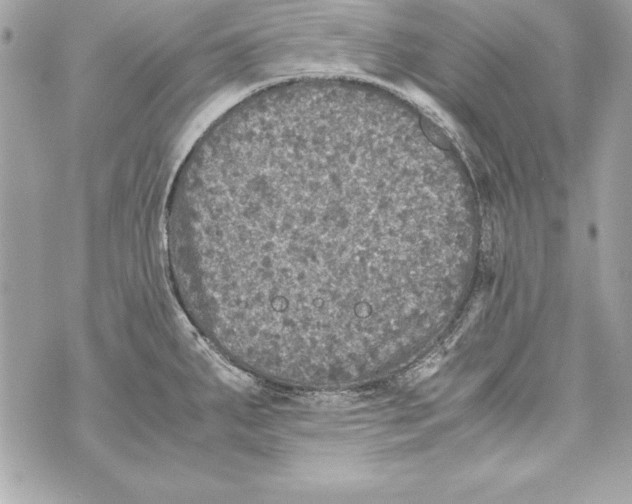 X0000070411287200607072300