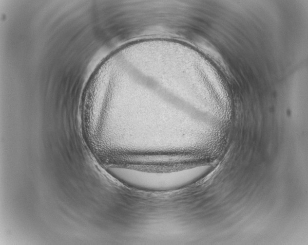 X0000070411288200607072300