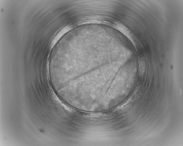 X0000070411290200607072300