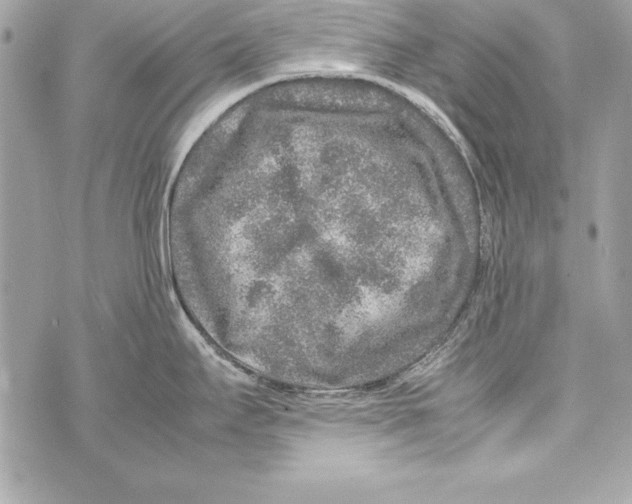 X0000070411295200607072300