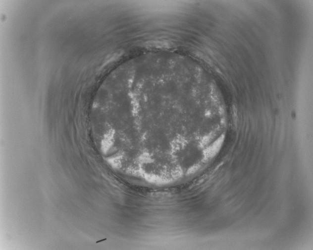 X0000070411297200607072259