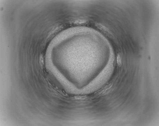 X0000070411299200607072259